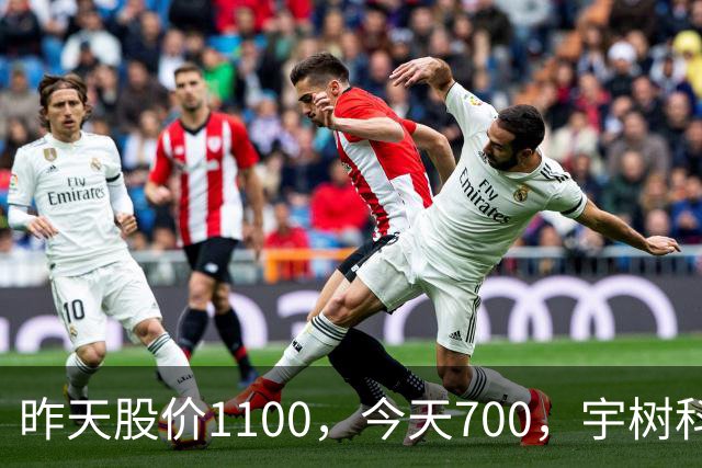 昨天股价1100，今天700，宇树科技跳空大跌，追高者两天亏掉38%！