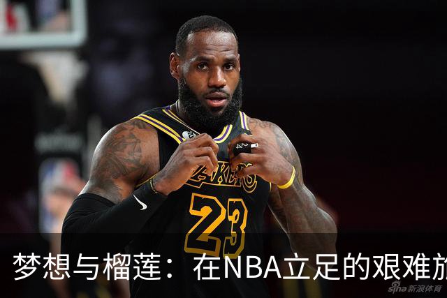 梦想与榴莲：在NBA立足的艰难旅程