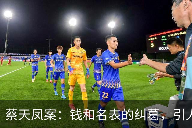 蔡天凤案：钱和名表的纠葛，引人入胜的幕后故事